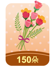 150康乃馨禮包