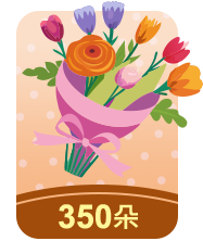 350康乃馨禮包