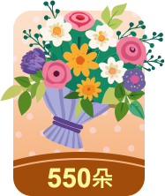 550康乃馨禮包
